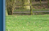 Bruce on patrol