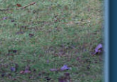 On the prowl