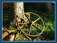 The wheel