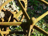 The wheel