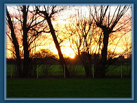 Sunrise over the paddock