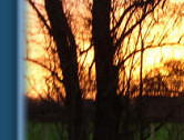 Sunrise over the paddock