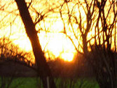 Sunrise over the paddock