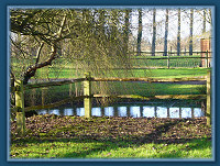 New Year's Day 2007