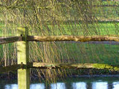 New Year's Day 2007