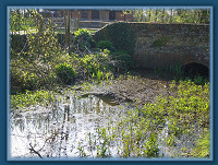 Moat & bridge, Spring 08