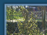 Moat & bridge, Spring 08