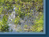 Moat & bridge, Spring 08