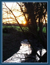 January sunrise