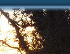 January sunrise