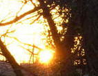 January sunrise