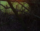 January sunrise