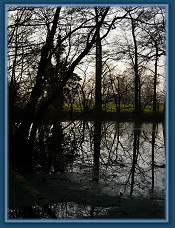 Reflective morning