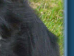 Kate, June 2008