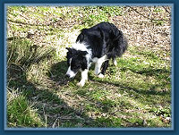 Mac pottering about