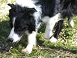 Mac pottering about