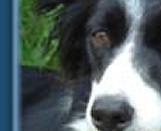 Skye