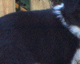 Kate looking innocent