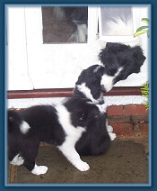 See I can still give you a wash!