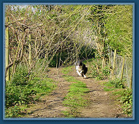 Scott at speed!