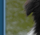 Teddy - August 2009