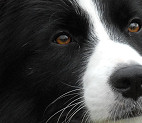 Teddy - August 2009