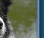 Teddy - August 2009