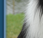 Teddy - August 2009
