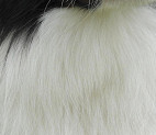 Teddy - August 2009