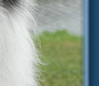 Teddy - August 2009