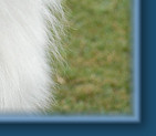 Teddy - August 2009