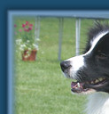Teddy, May 2009
