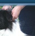 Teddy, May 2009