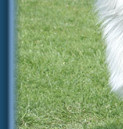 Teddy, May 2009