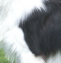 Teddy, May 2009