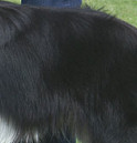 Teddy, May 2009