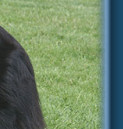 Teddy, May 2009