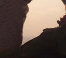 Bird of prey at sunset