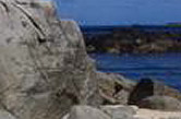 Alderney Point