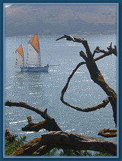 Setting sail