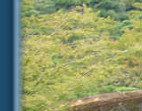 Kyoto