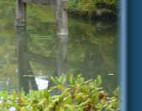 Kyoto