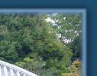 Bridge in Kyoto