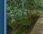 Bridge in Kyoto