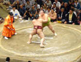 Sumo in Tokyo