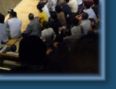 Sumo in Tokyo