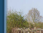 The vines April 08